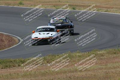 media/May-04-2024-Lucky Dog Racing (Sat) [[d39539b3f3]]/Race Pics/1015am (Turn 2)/